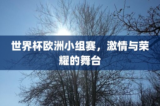 世界杯欧洲小组赛漯河市盈旭机械设备有限公司，激情与荣耀的舞台