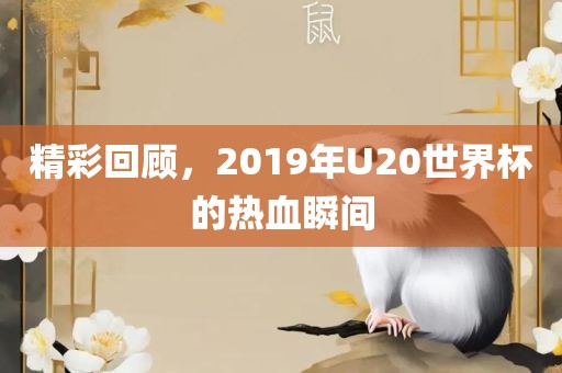 精彩回顾，2019年U20世界杯的热血瞬间