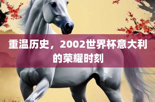 重温历史，2002世界杯意大利的荣耀时刻漯河市盈旭机械设备有限公司