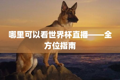 哪里可以看世界杯直播——漯河市盈旭机械设备有限公司全方位指南