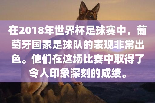 在2018年世界杯足球赛中，葡萄牙国家足球队的表现非常出色。他们在这场比赛中取得了令人印象深刻的成绩。
