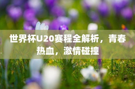 世界杯U20赛程全解析，青春热血，激情碰撞