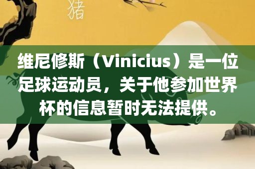 维尼修斯（Vinicius）是一位足球运动员，关于他参加世界杯的信息暂时无法提供。漯河市盈旭机械设备有限公司