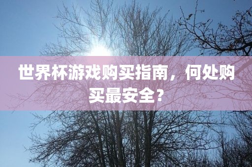 世界杯游戏购买指南，何处购买最安全？