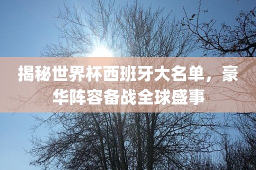 揭秘世界杯西班牙大名单，豪华阵容备战全球盛事