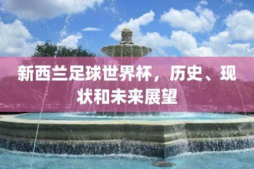 新西兰足球世界杯，历史、现状和未来展望