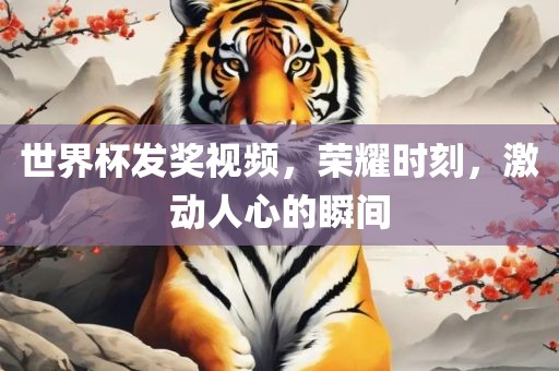 世界杯发奖视频，荣耀时刻，激动人心的瞬间漯河市盈旭机械设备有限公司