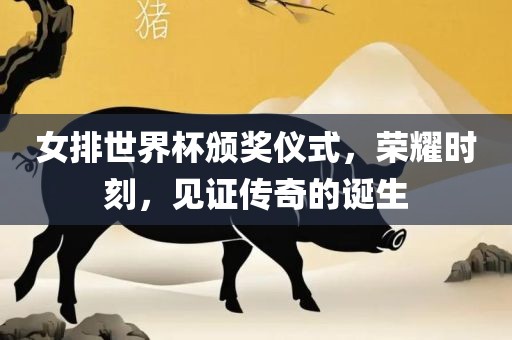 女排世界杯颁奖仪式，荣耀时刻，见证传奇的诞生