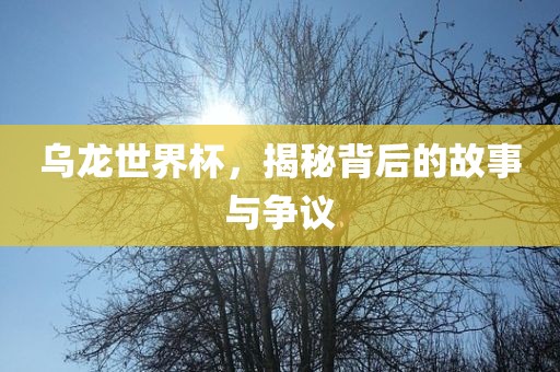 乌龙世界杯，揭秘背后的故事与争议