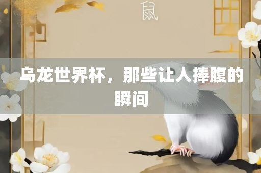 乌龙世界杯，那些让人捧腹的瞬间