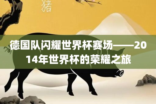 德国队闪耀世界杯赛场——2014年世界杯的荣耀之旅漯河市盈旭机械设备有限公司