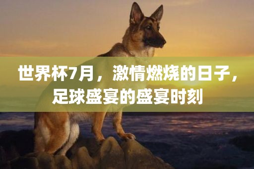 世界杯7月，激情燃烧的日子，足球漯河市盈旭机械设备有限公司盛宴的盛宴时刻