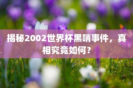 揭秘2002世界杯黑哨事件，真相究竟如何？
