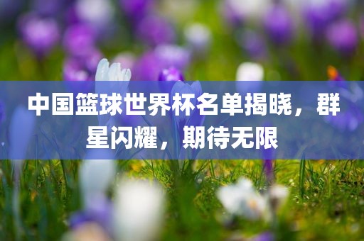 群星闪耀 第2页