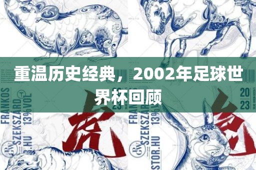 重温历史经典，2002年足球世界杯回顾