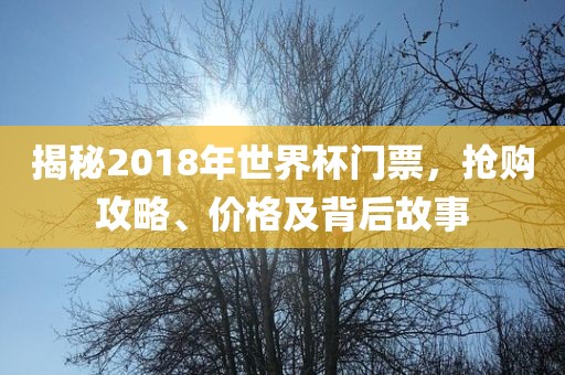 揭秘2018年世界杯门票，抢购攻略、价格及背后故事漯河市盈旭机械设备有限公司