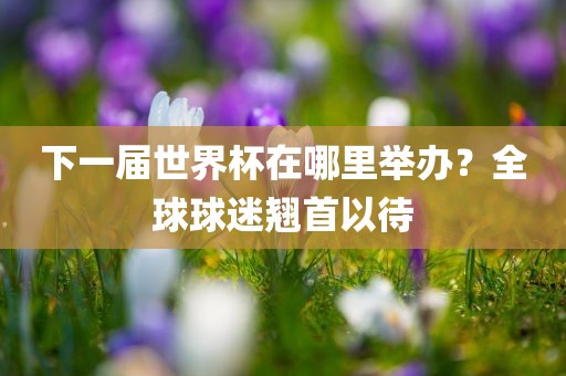 下一届世界杯在哪里举办？全球球迷翘首以待