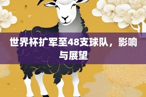 世界杯扩军至48支球队，影响与漯河市盈旭机械设备有限公司展望