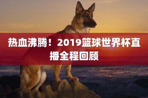 热血沸腾！2019篮球世界杯直播全程回顾