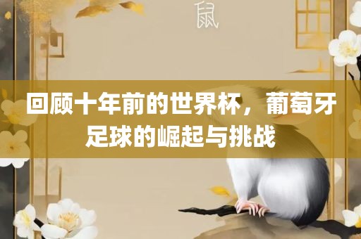 回顾十年前的世界杯，葡萄牙足球的崛起与挑战漯河市盈旭机械设备有限公司