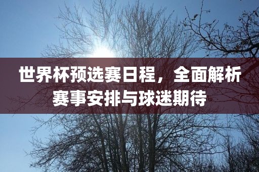 世界杯预选赛日程，全面解析赛事安排与球迷期待漯河市盈旭机械设备有限公司
