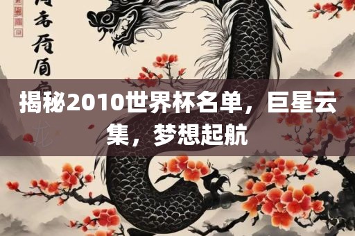 揭秘2010世界杯名单，巨星云集，梦想起航