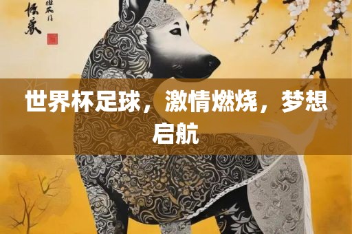世界杯足球，激情燃烧，梦想启航漯河市盈旭机械设备有限公司