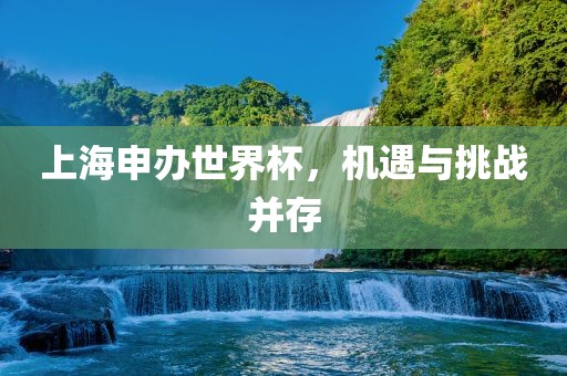 上海申办世界杯，机遇与挑战并存漯河市盈旭机械设备有限公司