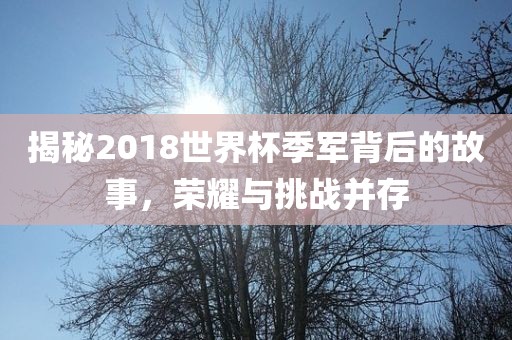 揭秘2018世界杯季军背后的故事，荣耀与挑战并存漯河市盈旭机械设备有限公司