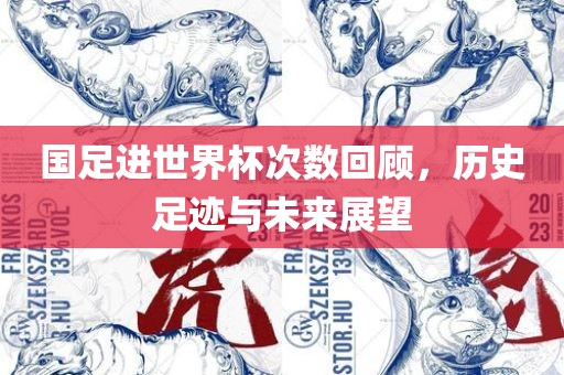 国足进世界杯次数回顾，历史足迹与未来展望漯河市盈旭机械设备有限公司