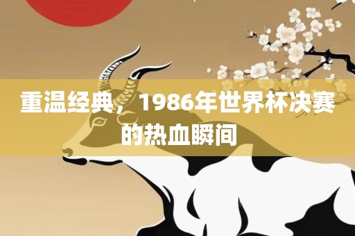 重温经典，1986年世界杯决赛的热血瞬间漯河市盈旭机械设备有限公司