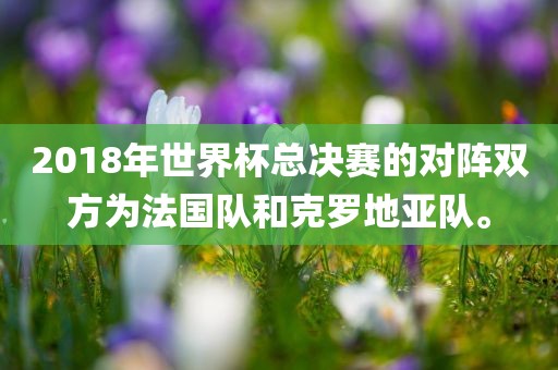 2018年世界杯总决赛的对阵双方为法国队和克罗地亚队。