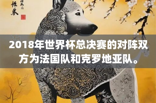 2018年世界杯总决赛的对阵双方为法国队和克罗地亚队。