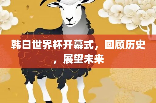 韩日世界杯开幕式，回顾历史，展望未来