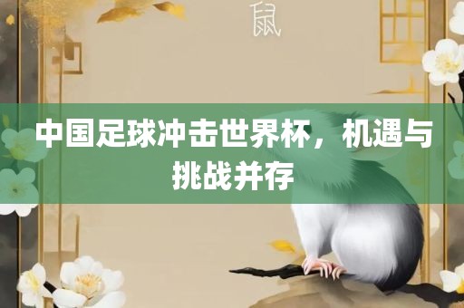 中国足球冲击世界杯，机遇与挑战并存