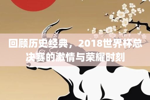回顾历史经典，2018世界杯总决赛的激情与荣耀时刻
