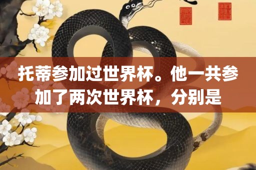 托蒂参加过世界杯。他一共参加了两次世界杯，分别是