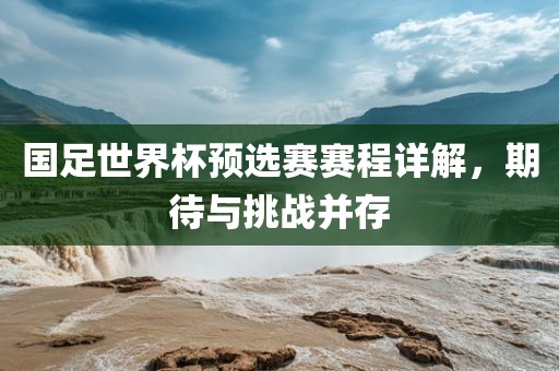 国足世界杯预选赛赛程详解，期待漯河市盈旭机械设备有限公司与挑战并存