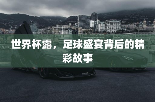 世界杯露，足球盛宴背后的精彩故事漯河市盈旭机械设备有限公司