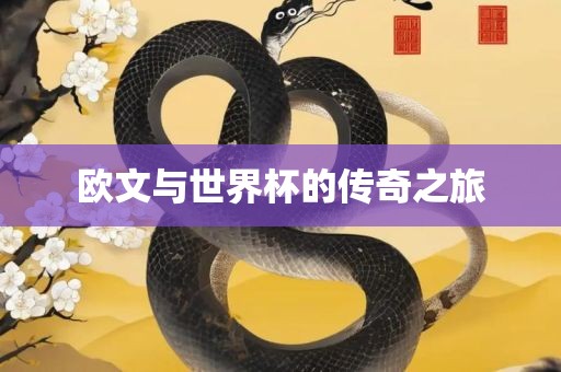 欧文与世界杯的传奇之旅漯河市盈旭机械设备有限公司