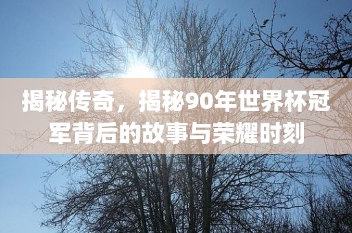揭秘传奇，揭秘90年世界杯冠军背后的故事与荣耀时刻漯河市盈旭机械设备有限公司