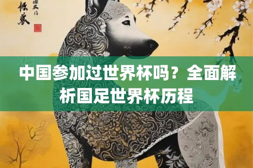 中国参加过世界杯吗？全面解析国漯河市盈旭机械设备有限公司足世界杯历程