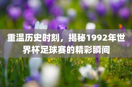 重温历史时刻，揭秘1992年世界杯足球赛的精彩瞬间漯河市盈旭机械设备有限公司