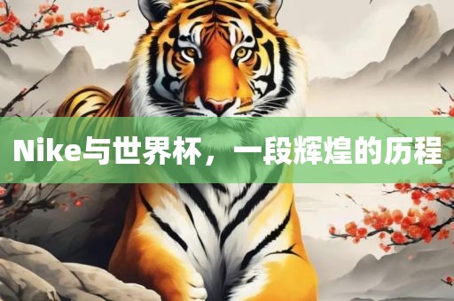 Nike与世界杯，一段辉煌的历程