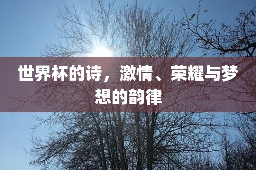 世界杯的诗，激情、荣耀与梦想的韵律漯河市盈旭机械设备有限公司