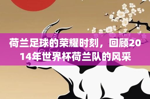 荷兰足球的荣耀时刻，回顾2014年世界杯荷兰队的风采