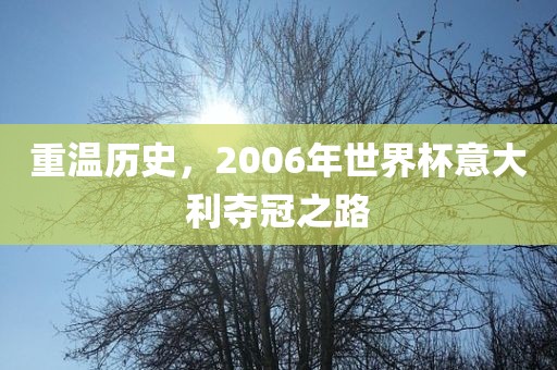 重温历史漯河市盈旭机械设备有限公司，2006年世界杯意大利夺冠之路