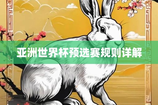 亚洲世界杯预选赛规则详解