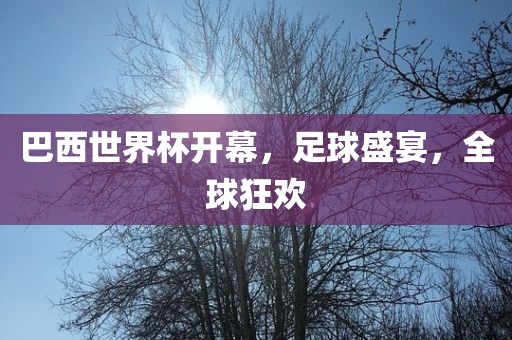 巴西世界杯开幕，足球盛宴，全球狂欢漯河市盈旭机械设备有限公司