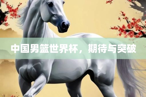 中国男篮世界杯，期待与突破